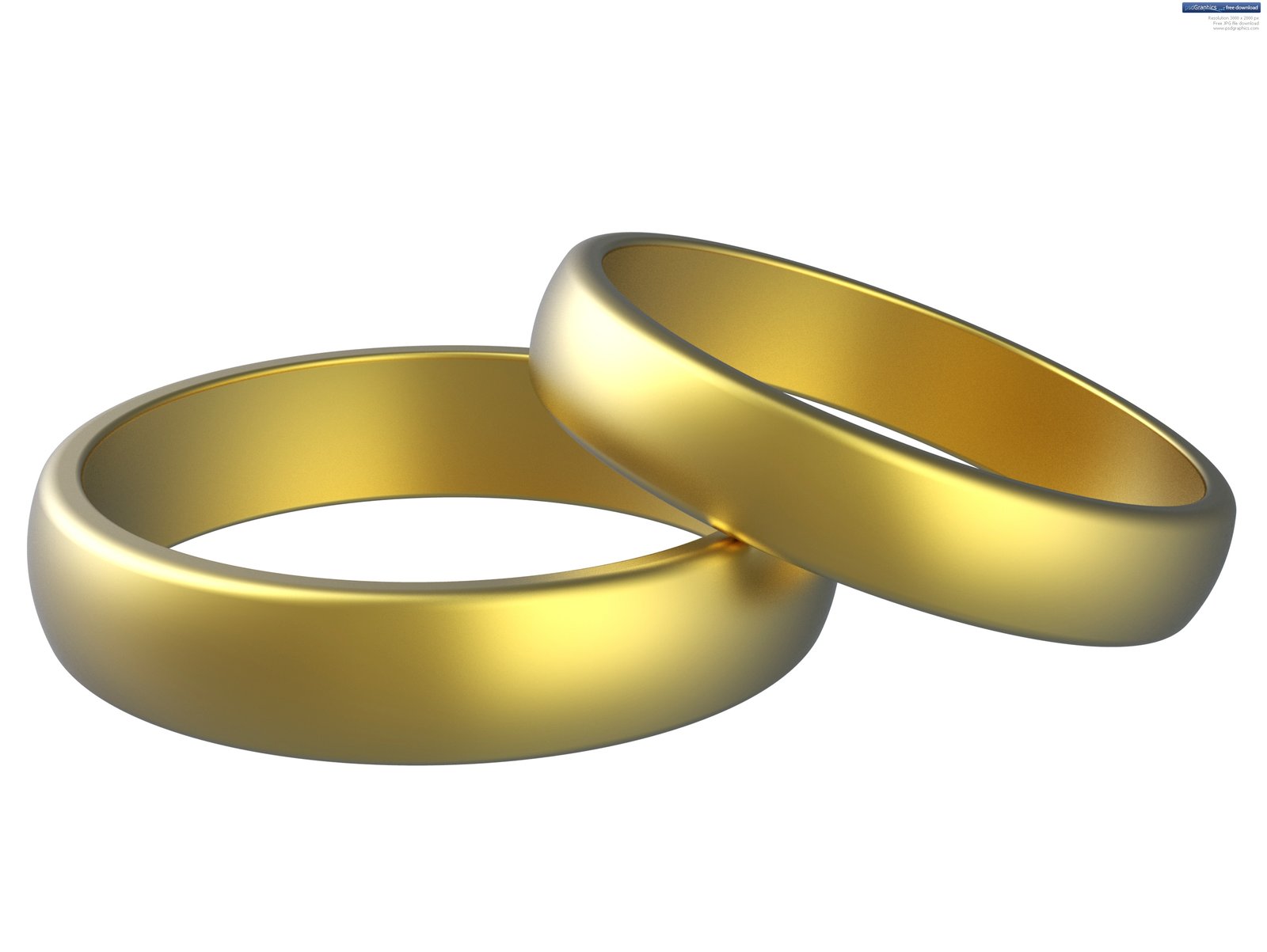 two wedding rings clipart