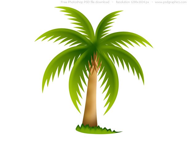 palm-tree-icon.jpg