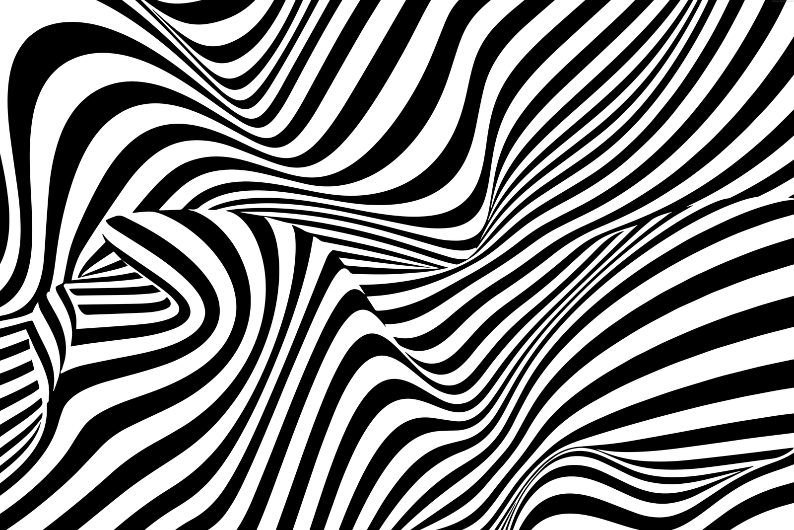 Abstract Black And White Lines