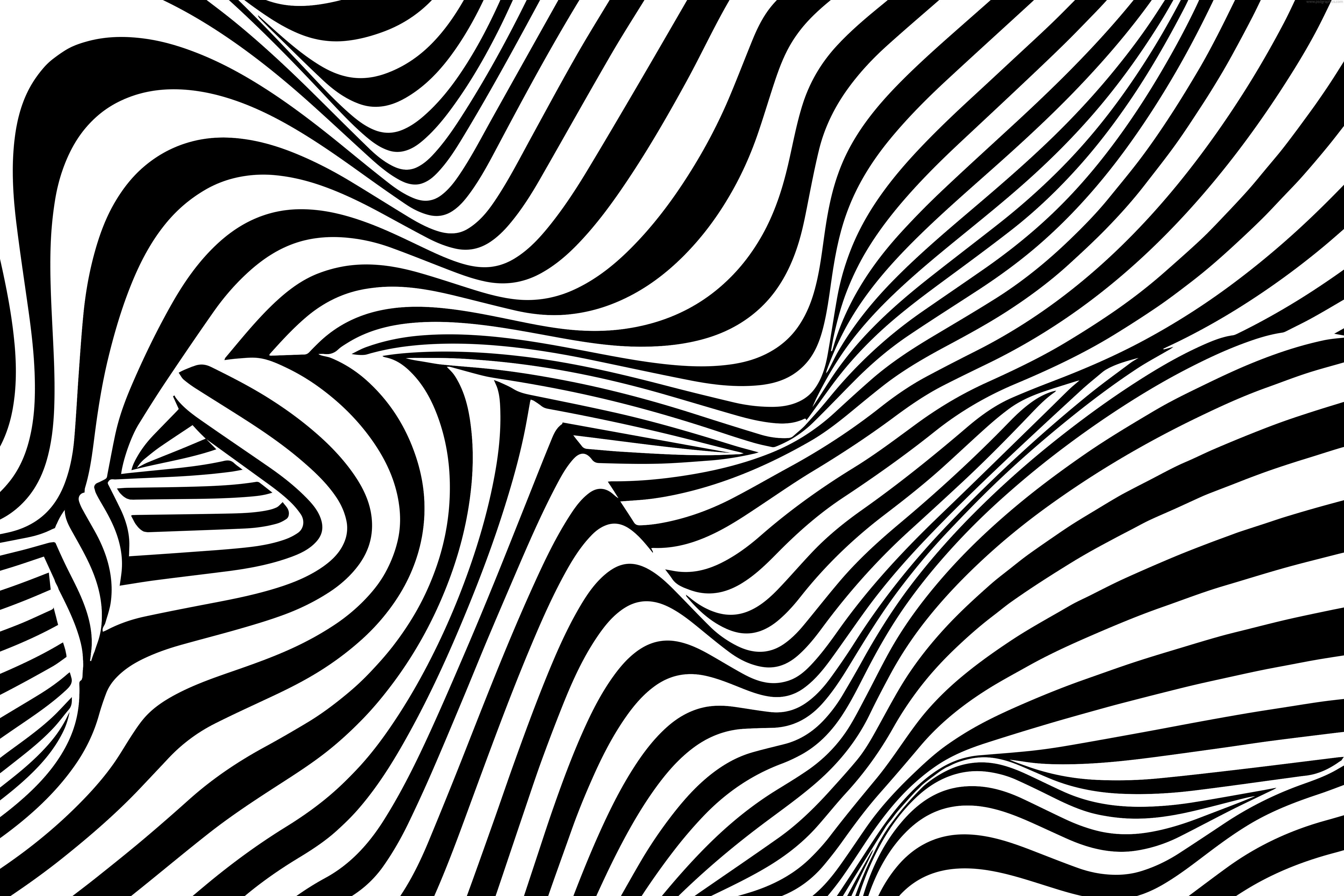 abstract designs black and white