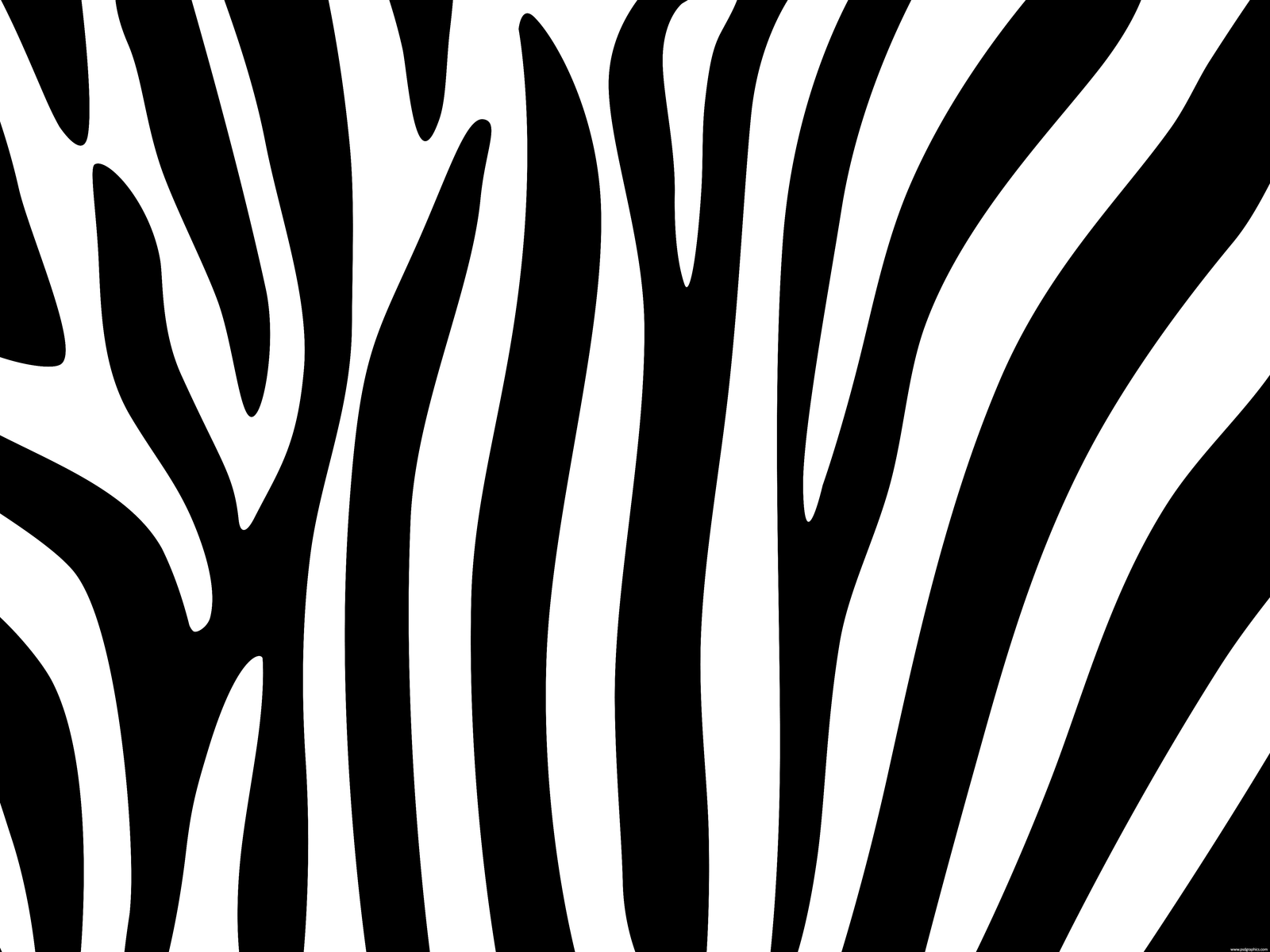 Zebra Stripes Nail Art with Glitter - wide 2