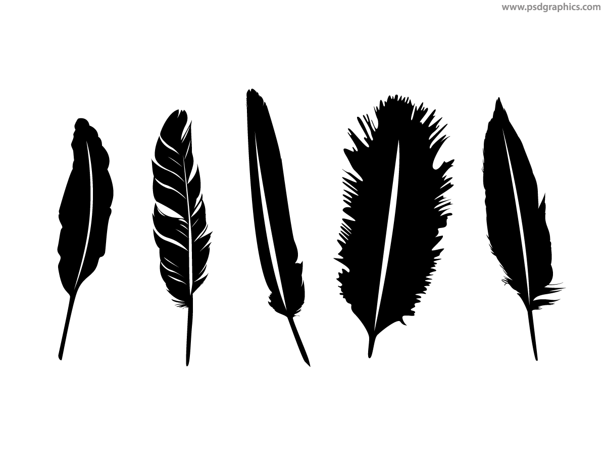 Feathers silhouettes