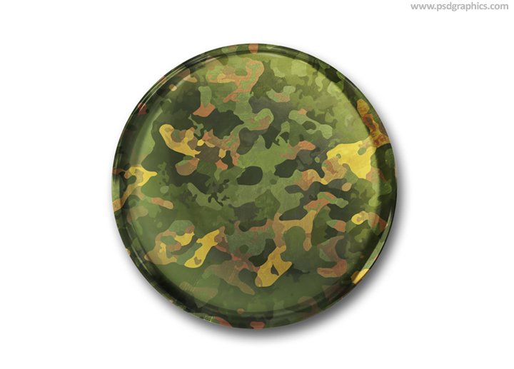 Camouflage button